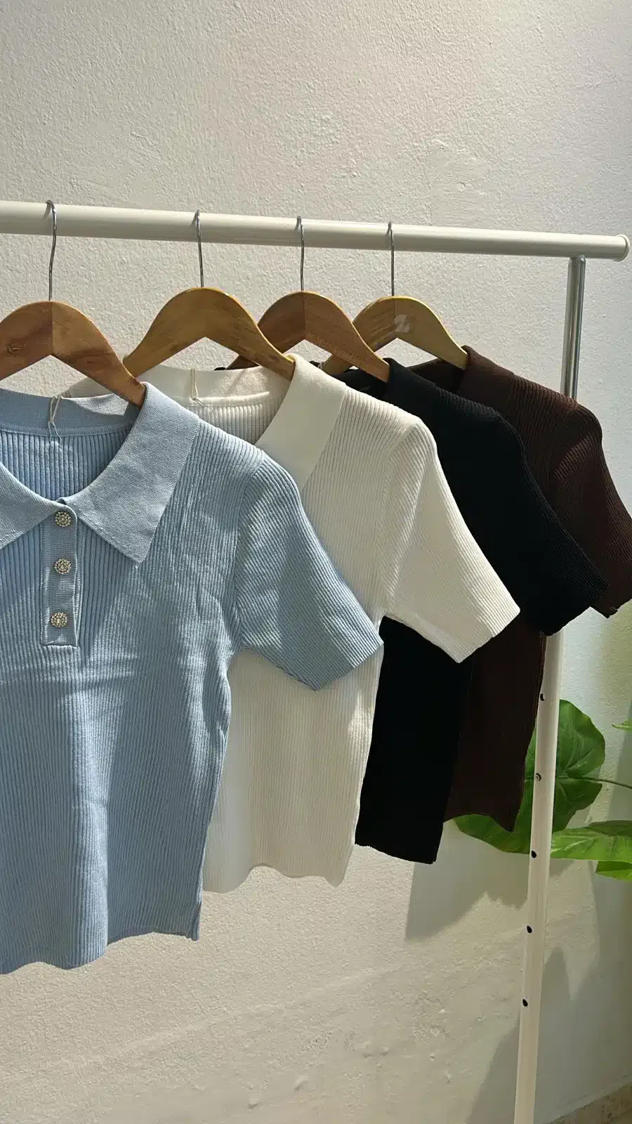 POLO CANALE - Imagen 2